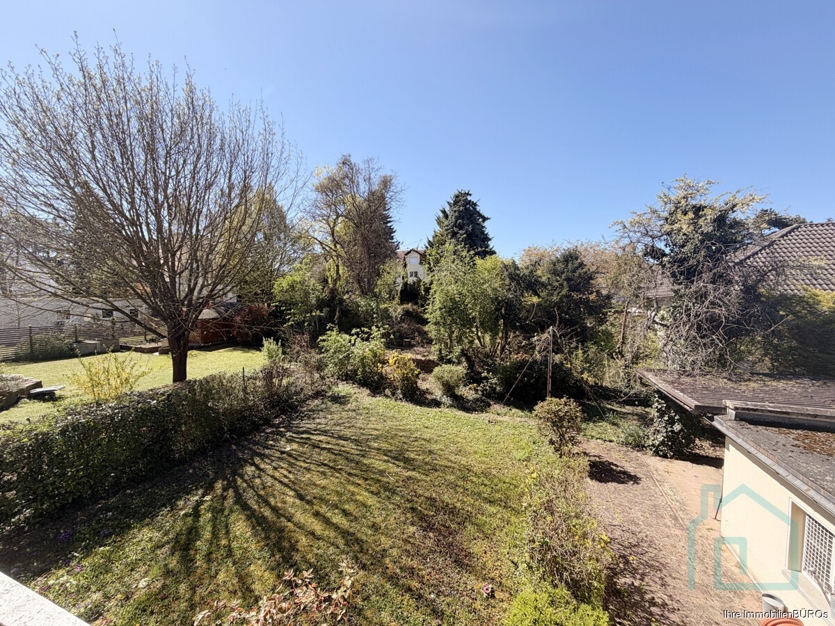 Blick in den Garten