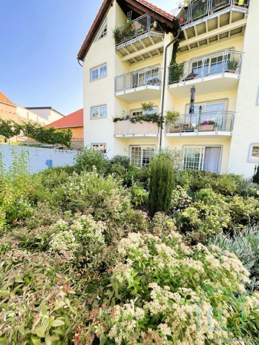 Ideal für Singles und Paare. Helle 2 – Zimmer – Wohnung mit Terrasse, Stellplatz & Blick ins Grüne